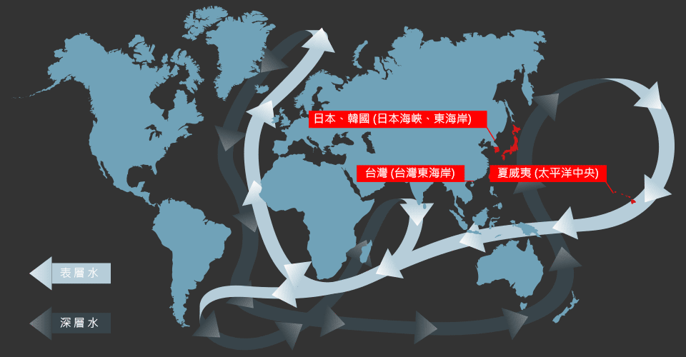 深層海水洋流圖